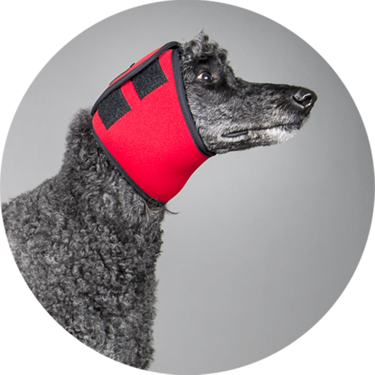 Dog ear compression store bandage